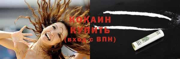 твердый Корсаков