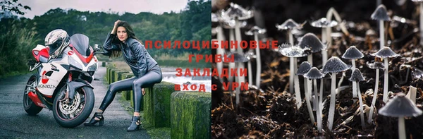стаф Костерёво