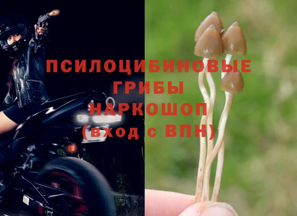 экстази Аркадак
