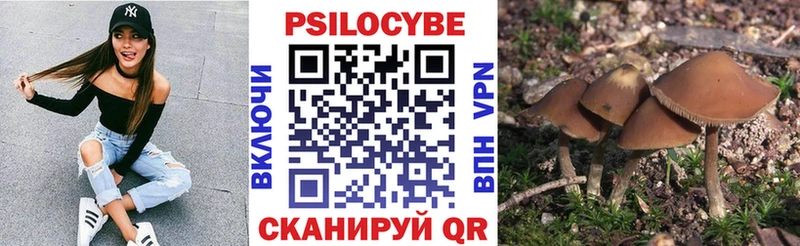 mega tor  Армянск  Псилоцибиновые грибы Magic Shrooms 